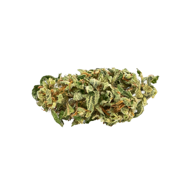 INFUSION FLEURS DE CBD - AMNESIA