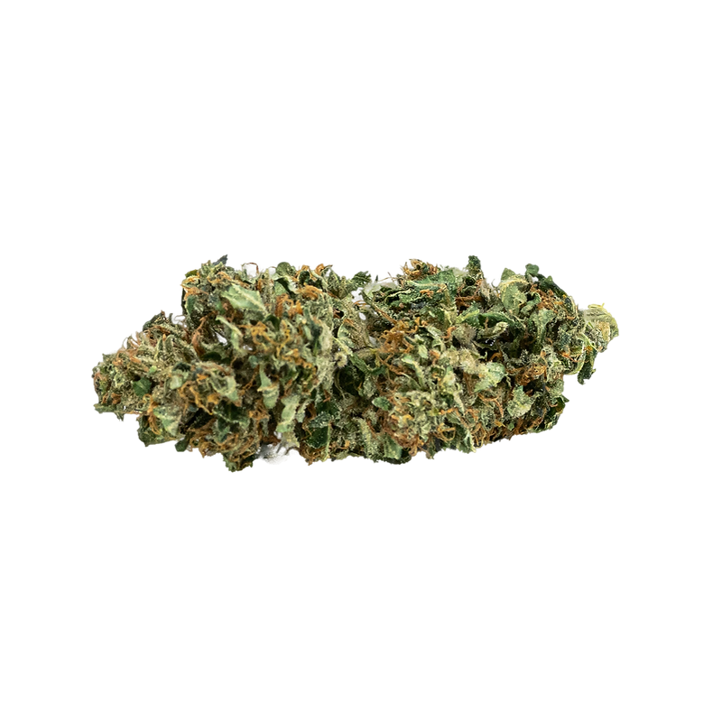 INFUSION FLEURS DE CBD - MONTANA